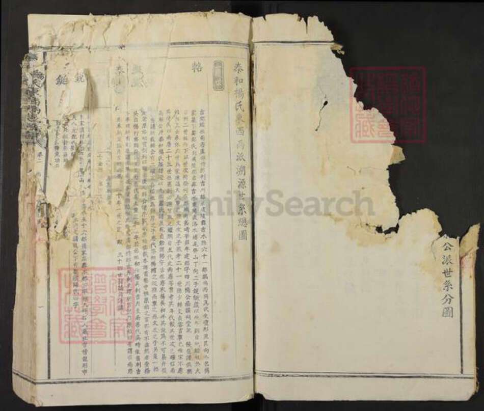 江西省吉安市泰和市杨氏族谱-泰和杨氏东西溪族谱.pdf电子版预览图2