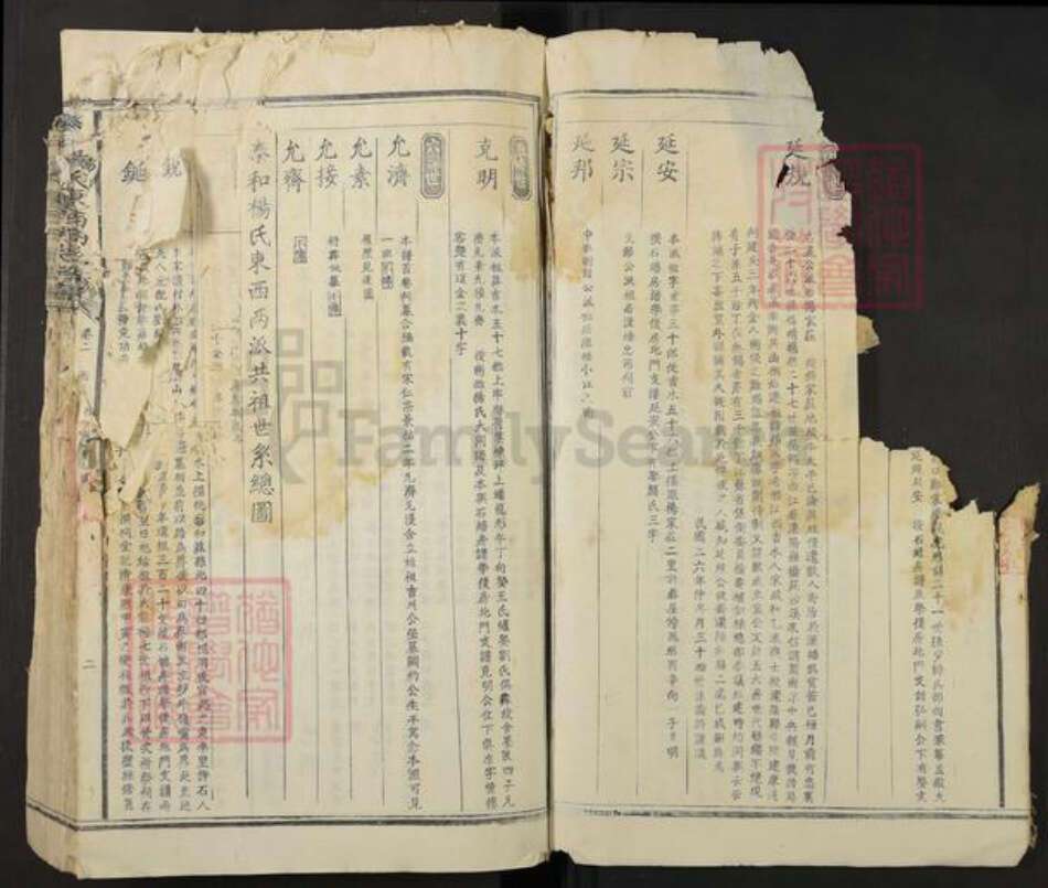 江西省吉安市泰和市杨氏族谱-泰和杨氏东西溪族谱.pdf电子版预览图3