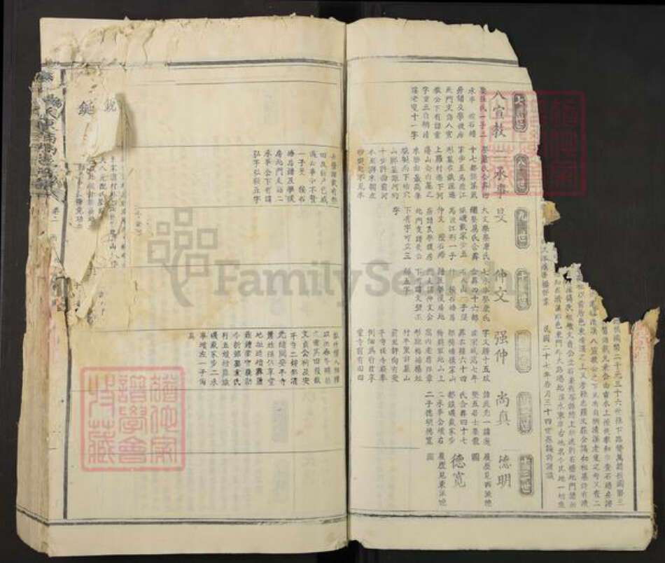 江西省吉安市泰和市杨氏族谱-泰和杨氏东西溪族谱.pdf电子版预览图4