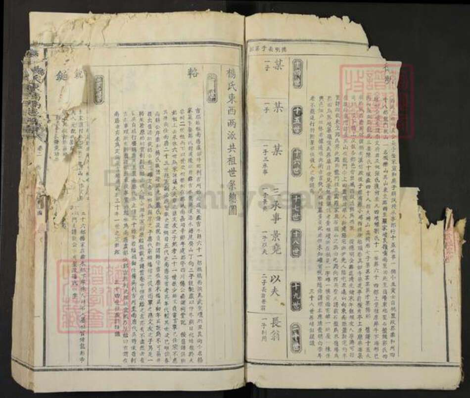 江西省吉安市泰和市杨氏族谱-泰和杨氏东西溪族谱.pdf电子版预览图5