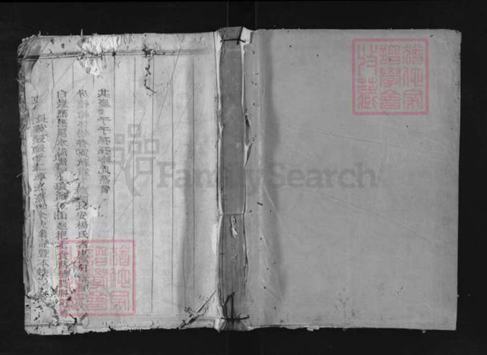 浙江省杭州市建德市梅城镇杨氏族谱-南峰杨氏外祠家谱.pdf电子版缩略图