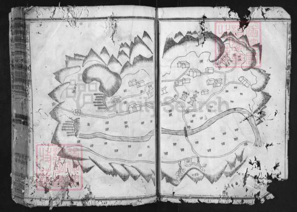 浙江省杭州市建德市梅城镇杨氏族谱-南峰杨氏外祠家谱.pdf电子版预览图4