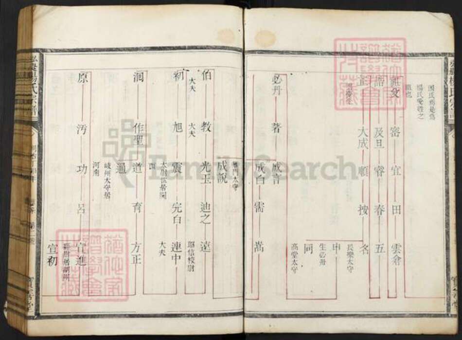 浙江省丽水市松阳县安民乡杨氏宝善堂族谱-弘农杨氏宗谱.pdf电子版预览图2