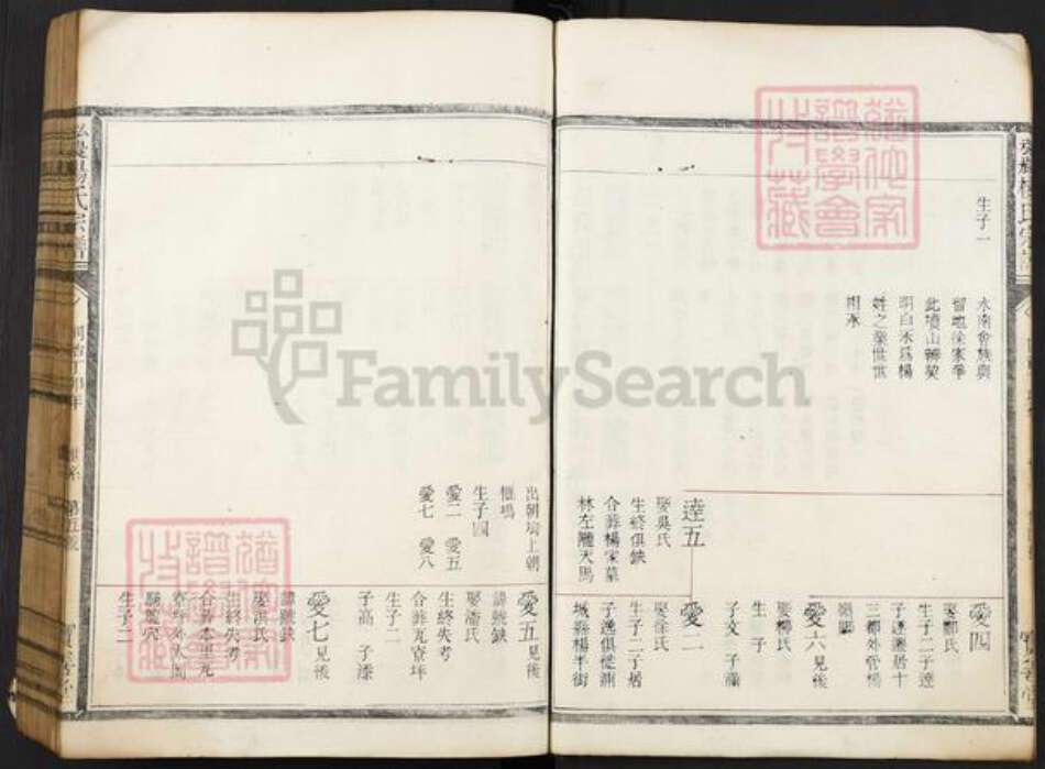 浙江省丽水市松阳县安民乡杨氏宝善堂族谱-弘农杨氏宗谱.pdf电子版预览图5