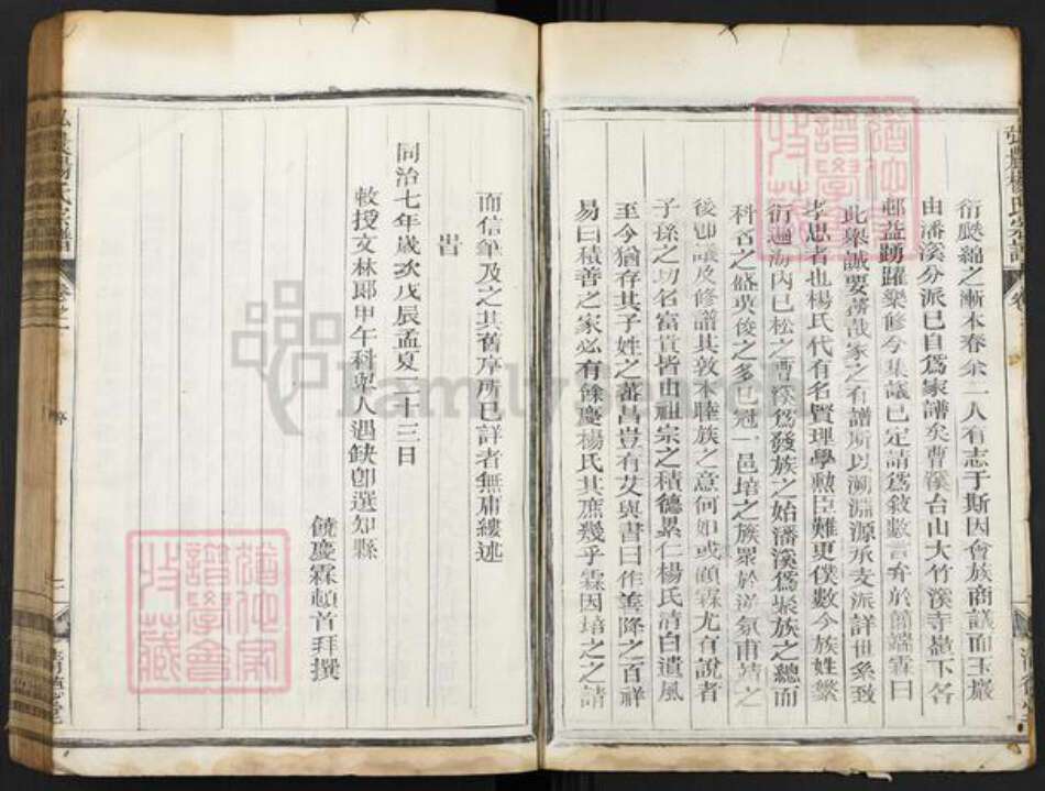 浙江省丽水市松阳县安民乡杨氏清德堂族谱-弘农杨氏宗谱.pdf电子版预览图2