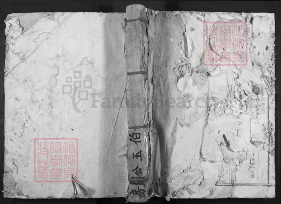 江西省赣州市兴国县鼎龙乡杨氏族谱-琴源杨氏十二修族谱.pdf电子版缩略图