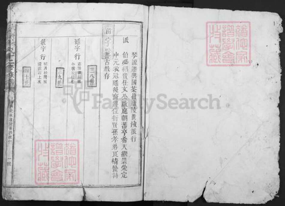 江西省赣州市兴国县鼎龙乡杨氏族谱-琴源杨氏十二修族谱.pdf电子版预览图1