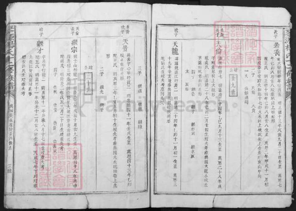 江西省赣州市兴国县鼎龙乡杨氏族谱-琴源杨氏十二修族谱.pdf电子版预览图3