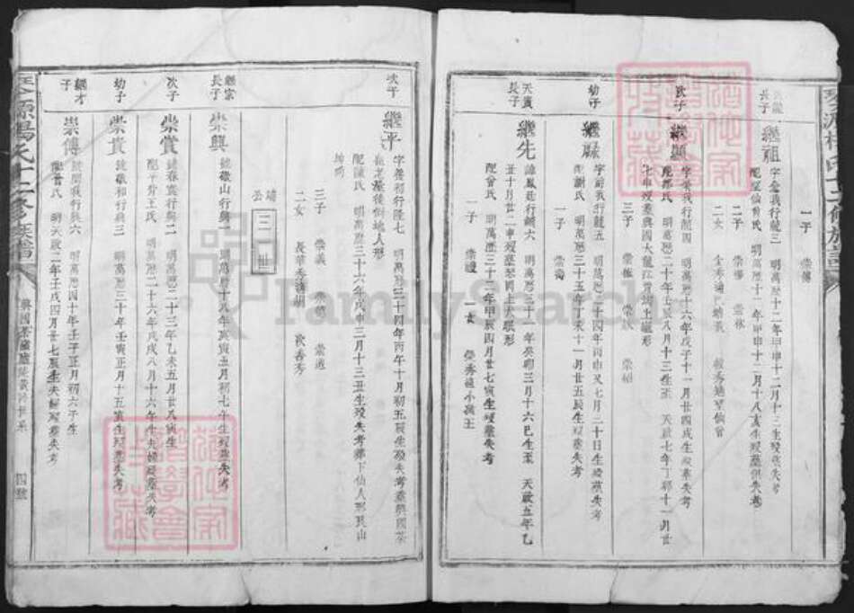 江西省赣州市兴国县鼎龙乡杨氏族谱-琴源杨氏十二修族谱.pdf电子版预览图4