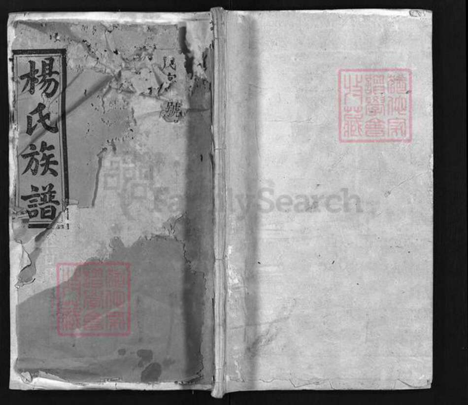 湖南省邵阳市隆回县沅江杨氏道南堂族谱-杨氏族谱 [6卷,首4卷].pdf电子版预览图1