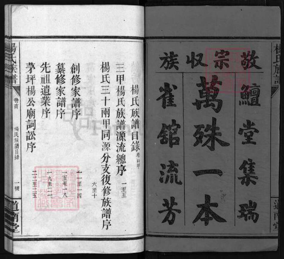 湖南省邵阳市隆回县沅江杨氏道南堂族谱-杨氏族谱 [6卷,首4卷].pdf电子版预览图3