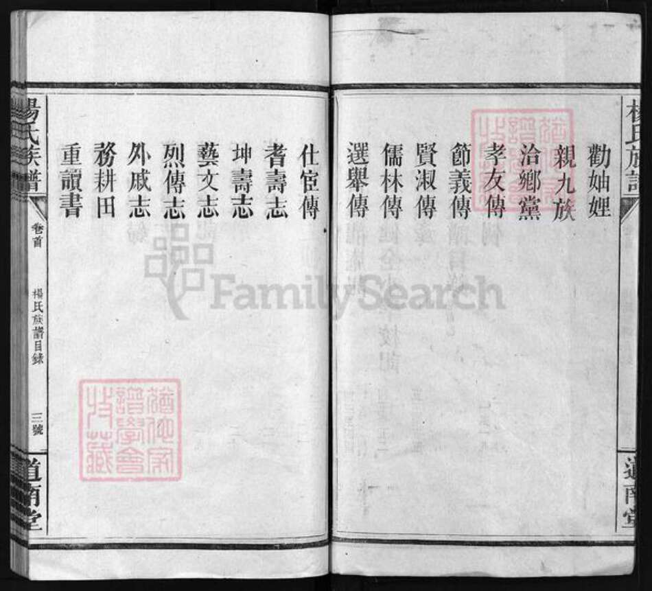 湖南省邵阳市隆回县沅江杨氏道南堂族谱-杨氏族谱 [6卷,首4卷].pdf电子版预览图5