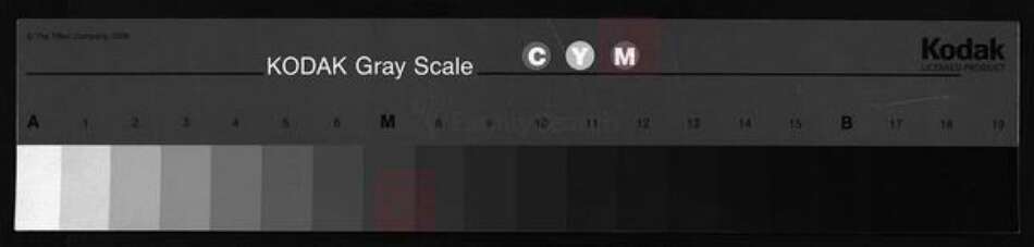 浙江省金华市永康市杨氏族谱-杨公杨氏宗谱 [4卷].pdf电子版缩略图