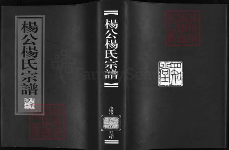 浙江省金华市永康市杨氏族谱-杨公杨氏宗谱 [4卷].pdf电子版预览图1