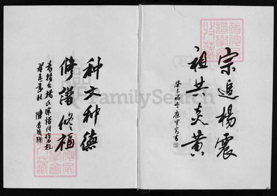 浙江省金华市永康市杨氏族谱-杨公杨氏宗谱 [4卷].pdf电子版预览图4