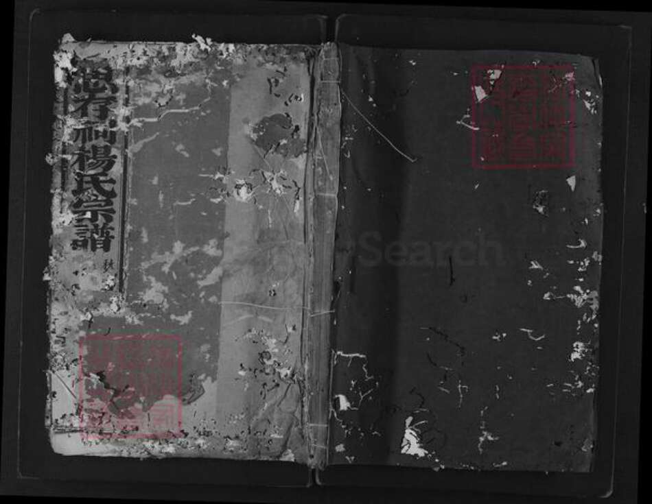 浙江省绍兴新昌县杨氏族谱-思存祠杨氏宗谱.pdf电子版缩略图