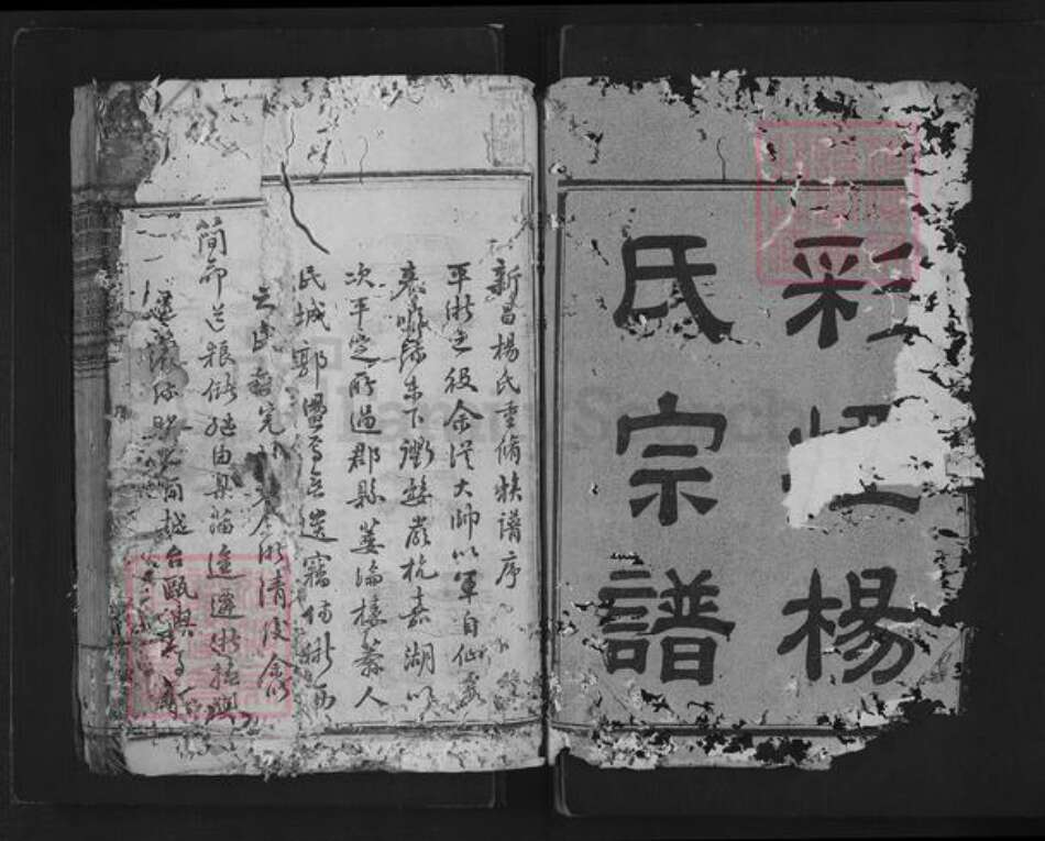 浙江省绍兴新昌县杨氏族谱-思存祠杨氏宗谱.pdf电子版预览图1