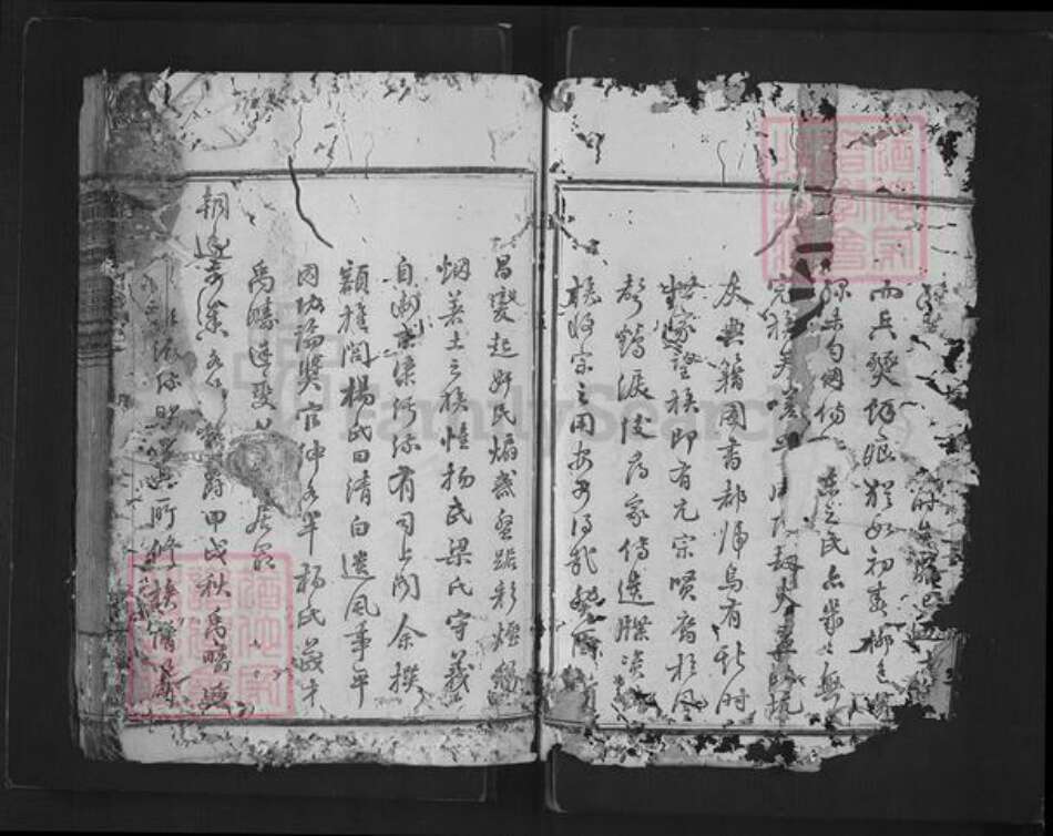 浙江省绍兴新昌县杨氏族谱-思存祠杨氏宗谱.pdf电子版预览图2