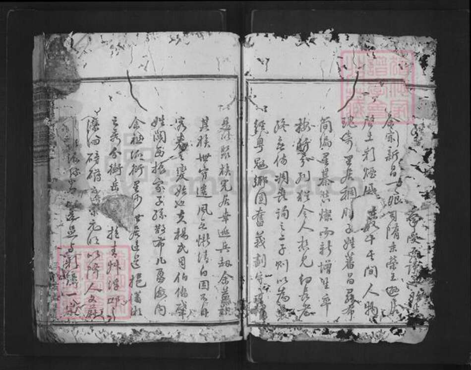 浙江省绍兴新昌县杨氏族谱-思存祠杨氏宗谱.pdf电子版预览图3