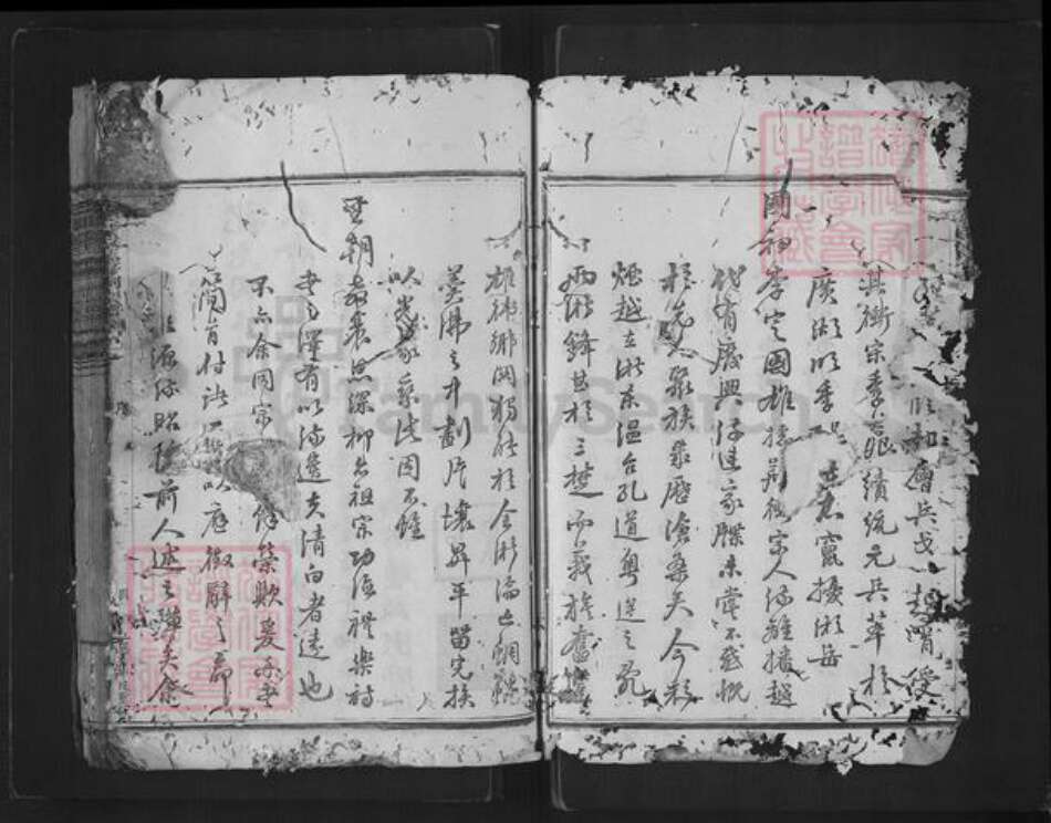 浙江省绍兴新昌县杨氏族谱-思存祠杨氏宗谱.pdf电子版预览图4