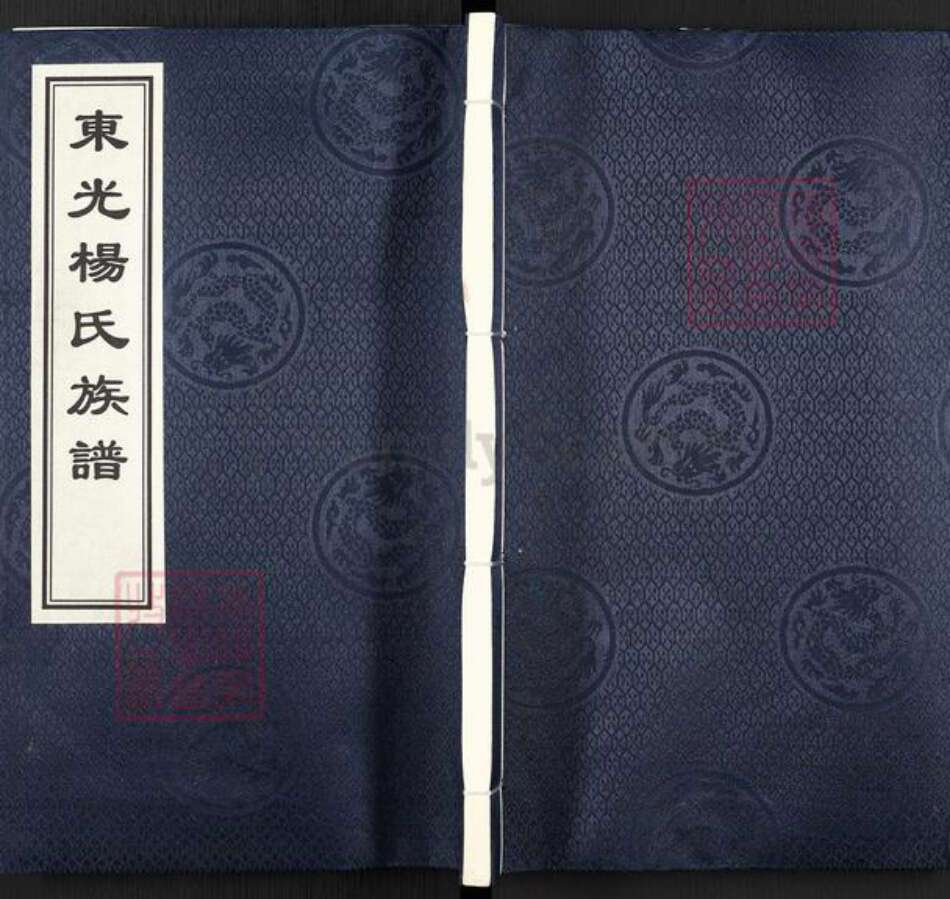 河北省沧州东光县大单镇杨氏族谱-东光杨氏族谱.pdf电子版缩略图