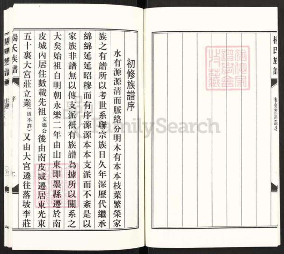 河北省沧州东光县大单镇杨氏族谱-东光杨氏族谱.pdf电子版预览图4