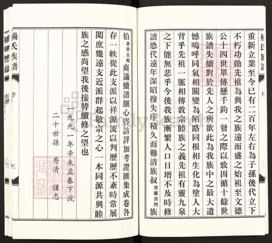 河北省沧州东光县大单镇杨氏族谱-东光杨氏族谱.pdf电子版预览图5