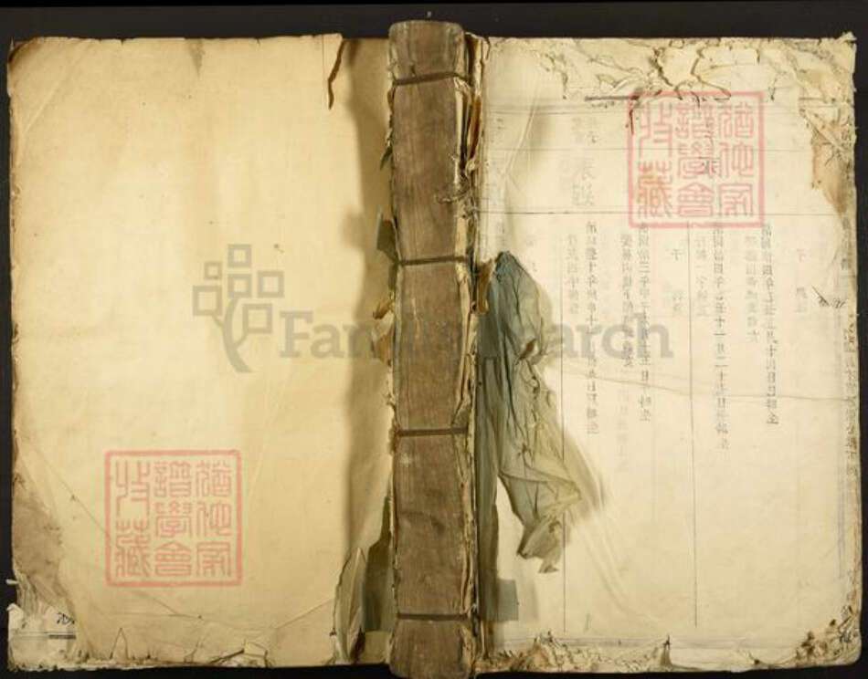 江西省抚州市乐安县杨氏族谱-抚乐云盖乡南竹杨氏族谱.pdf电子版缩略图