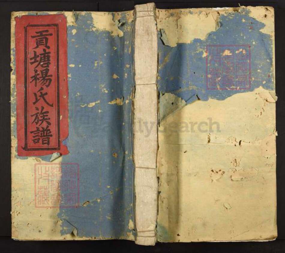 江西省吉安市泰和市苑前镇杨氏族谱-泰邑贡塘杨氏族谱.pdf电子版缩略图