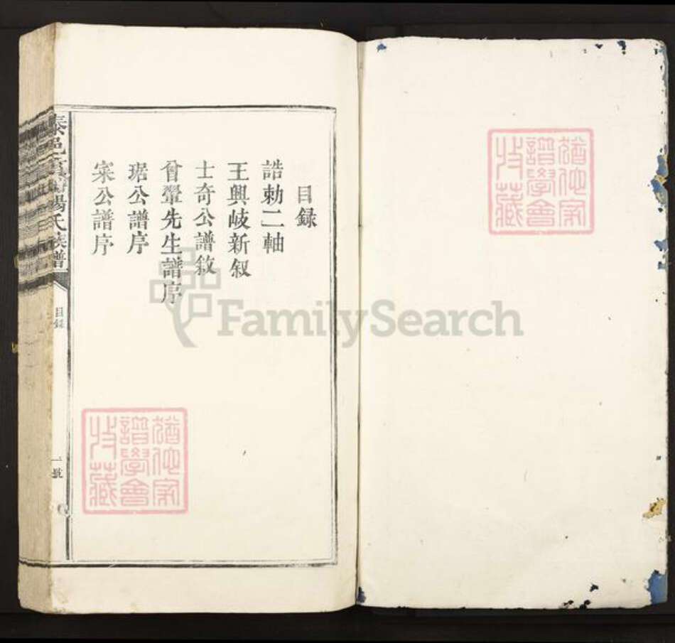 江西省吉安市泰和市苑前镇杨氏族谱-泰邑贡塘杨氏族谱.pdf电子版预览图1