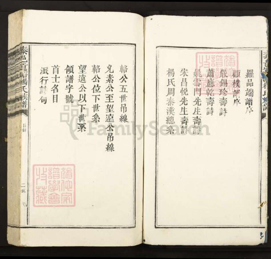 江西省吉安市泰和市苑前镇杨氏族谱-泰邑贡塘杨氏族谱.pdf电子版预览图2