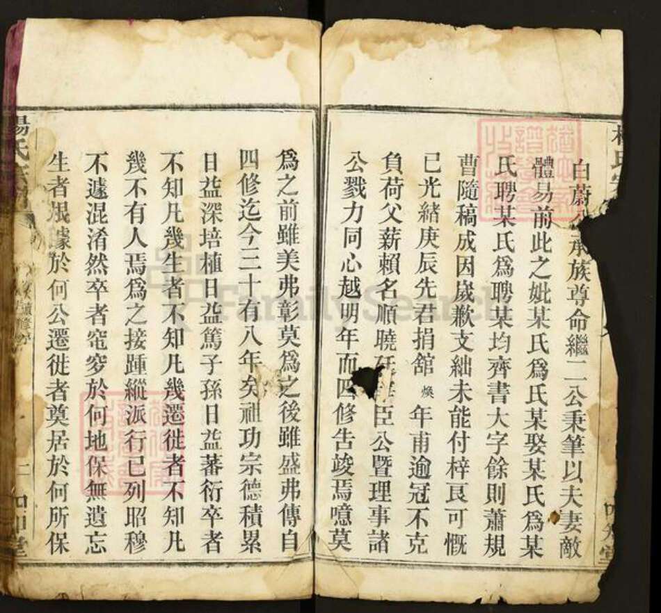 湖北省黄冈市杨氏四知堂族谱-杨氏宗谱.pdf电子版预览图2