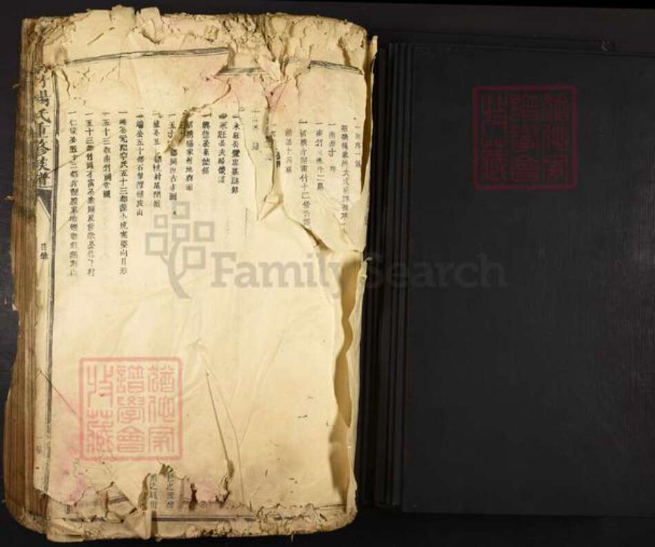 江西省抚州市乐安县招携镇杨氏继清堂族谱-南竹杨氏重修族谱.pdf电子版预览图1