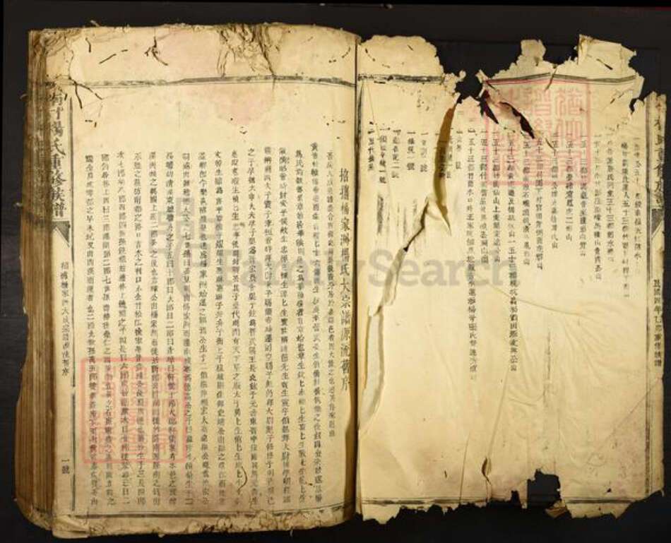 江西省抚州市乐安县招携镇杨氏继清堂族谱-南竹杨氏重修族谱.pdf电子版预览图2