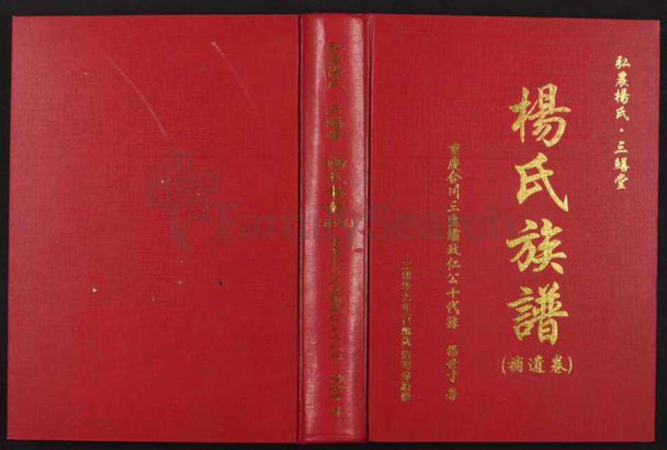 重庆市合川区三汇镇杨氏三鳝堂族谱-杨氏族谱(补遗卷).pdf电子版缩略图
