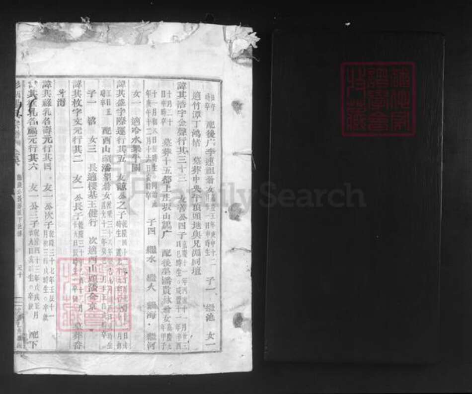 浙江省绍兴新昌县双彩乡杨氏族谱-彩烟杨氏宗谱.pdf电子版预览图1