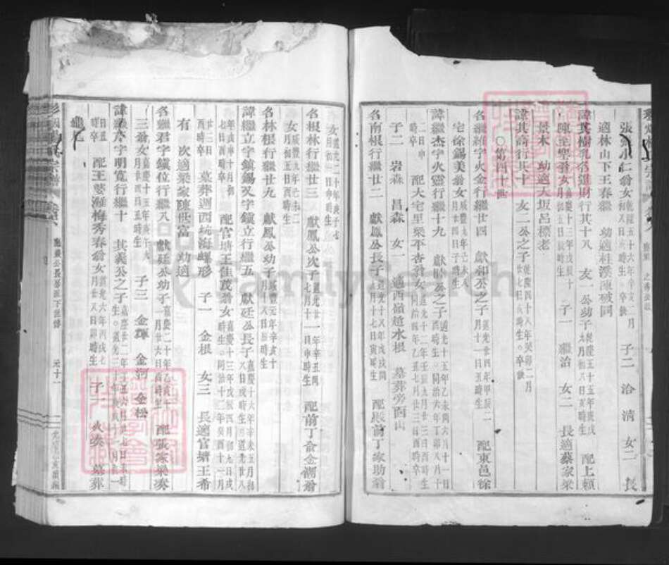 浙江省绍兴新昌县双彩乡杨氏族谱-彩烟杨氏宗谱.pdf电子版预览图2