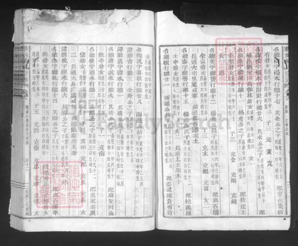 浙江省绍兴新昌县双彩乡杨氏族谱-彩烟杨氏宗谱.pdf电子版预览图3