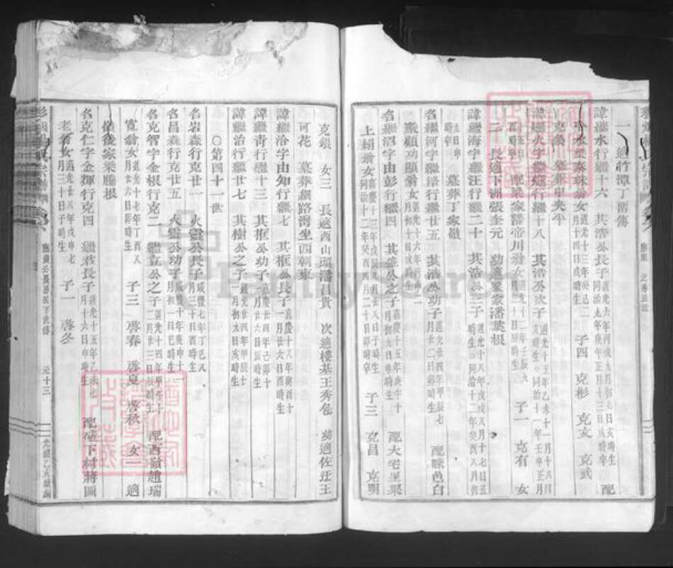 浙江省绍兴新昌县双彩乡杨氏族谱-彩烟杨氏宗谱.pdf电子版预览图4