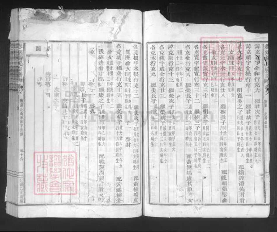 浙江省绍兴新昌县双彩乡杨氏族谱-彩烟杨氏宗谱.pdf电子版预览图5