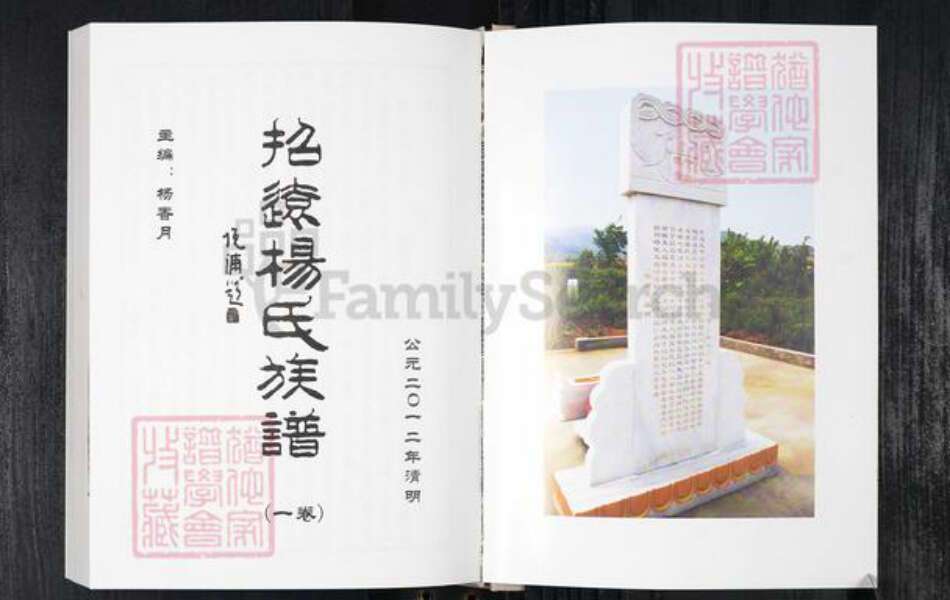 山东省烟台市招远市杨氏族谱-招远杨氏族谱.pdf电子版预览图1