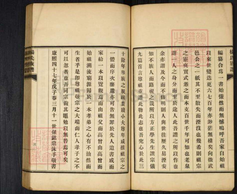 山东省青岛市即墨区灵山镇杨氏承桂堂族谱-即墨杨氏族谱.pdf电子版预览图4