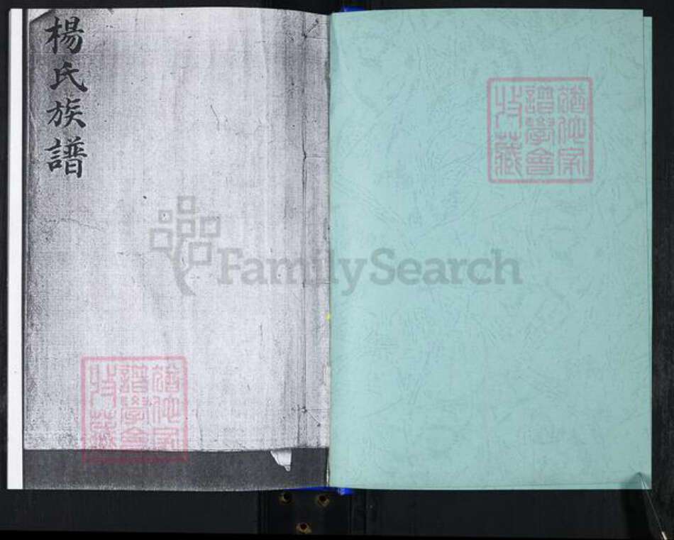 山东省青岛市崂山区杨氏族谱-大麦岛杨氏族谱.pdf电子版预览图1