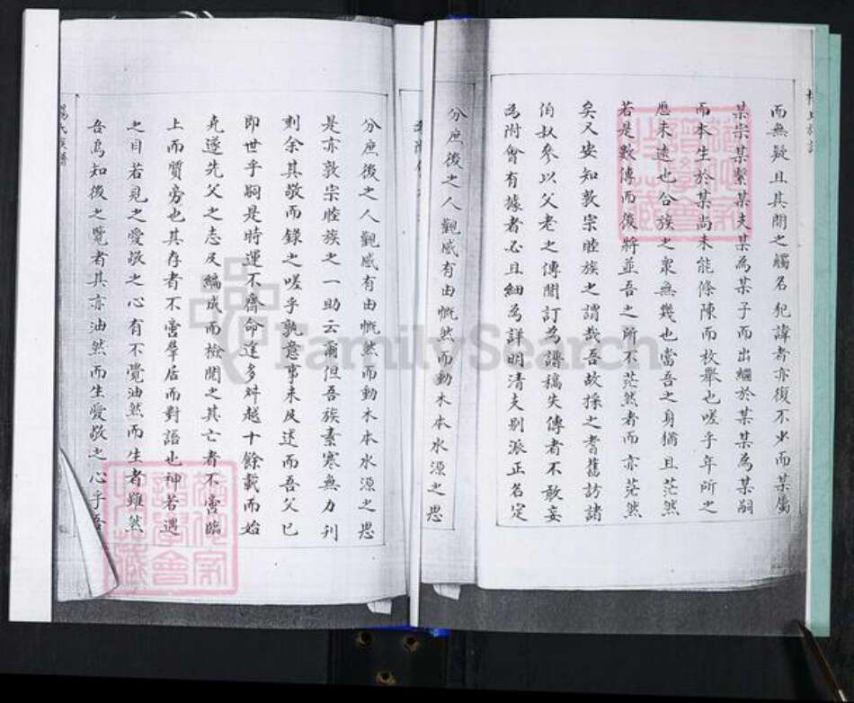 山东省青岛市崂山区杨氏族谱-大麦岛杨氏族谱.pdf电子版预览图3