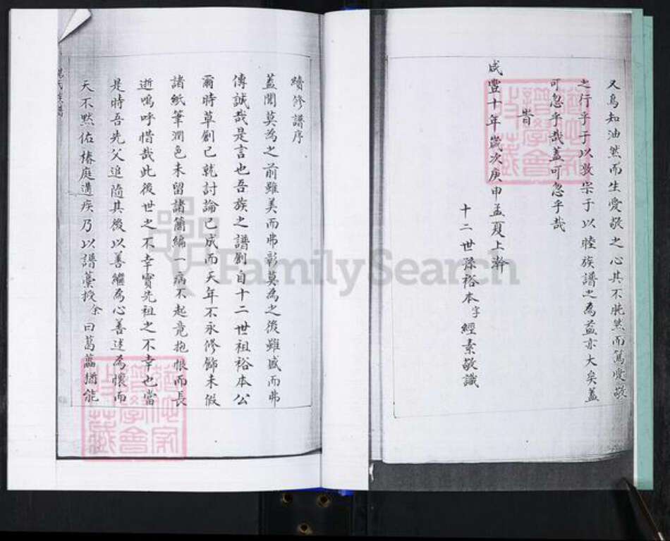 山东省青岛市崂山区杨氏族谱-大麦岛杨氏族谱.pdf电子版预览图4