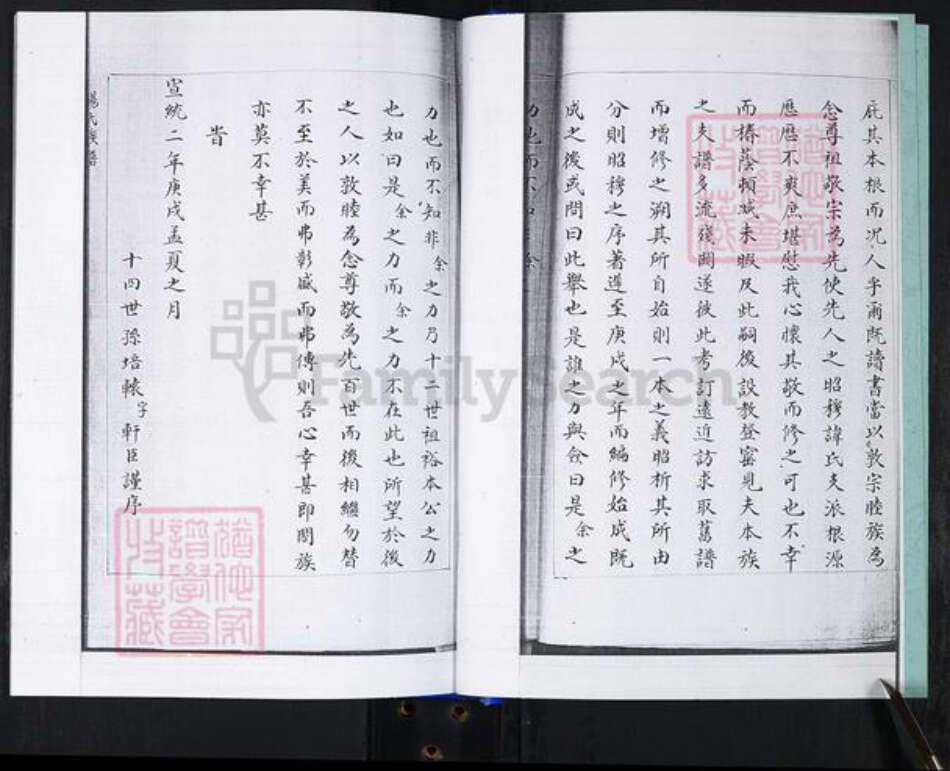 山东省青岛市崂山区杨氏族谱-大麦岛杨氏族谱.pdf电子版预览图5