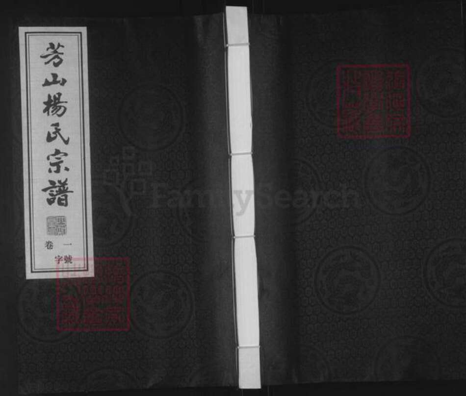 江苏省常州市武进县杨氏四知堂族谱-芳山杨氏宗谱.pdf电子版缩略图