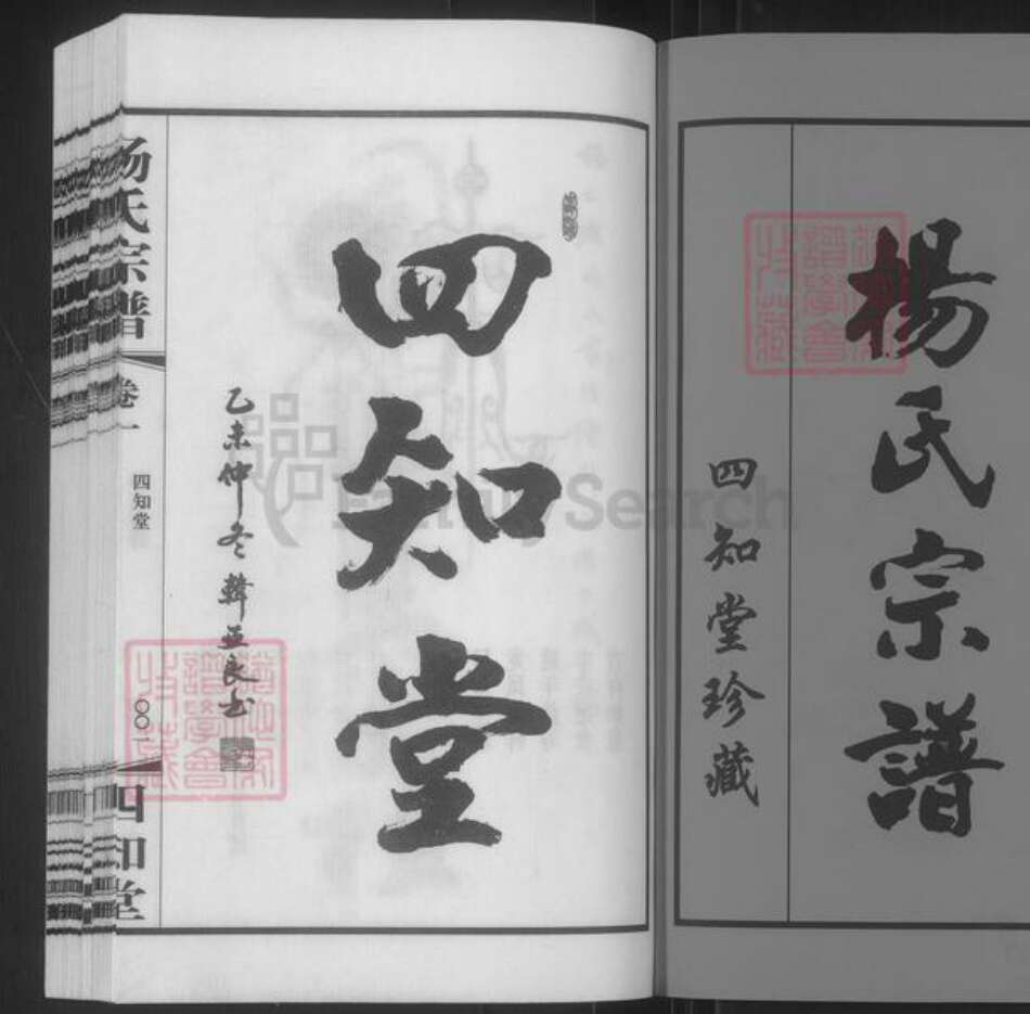 江苏省常州市武进县杨氏四知堂族谱-芳山杨氏宗谱.pdf电子版预览图1