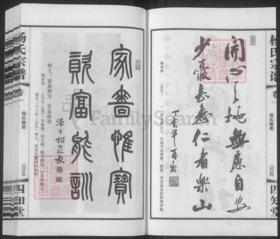 江苏省常州市武进县杨氏四知堂族谱-芳山杨氏宗谱.pdf电子版预览图3