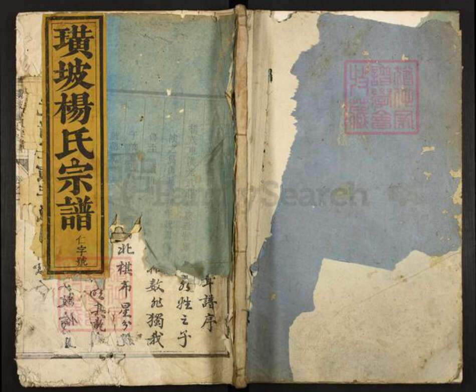 江西省吉安市新干县潭丘乡杨氏族谱-璜坡杨氏宗谱.pdf电子版缩略图